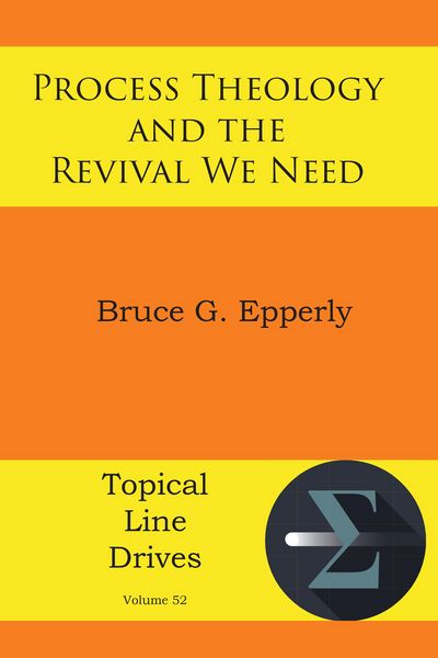 Produktbild: Process Theology and the Revival We Need