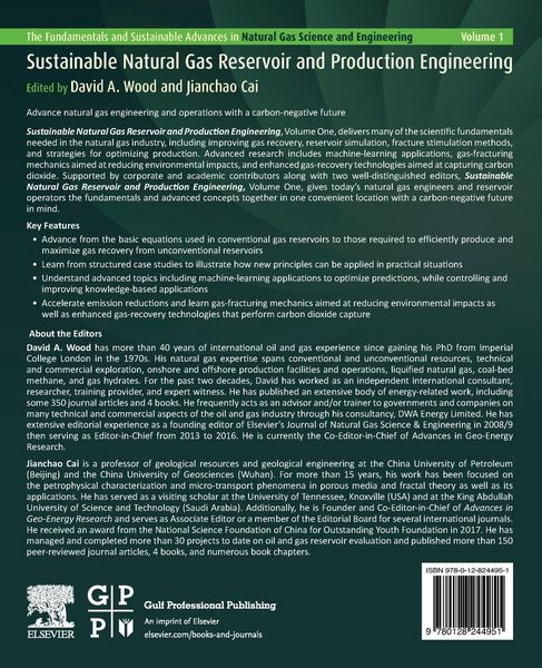 Produktbild: Sustainable Natural Gas Reservoir and Production Engineering