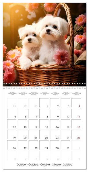 Produktbild: Cute PUPPY PERSONALITIES (Wall Calendar 2026 12 &times; 12 Inch) CALVENDO 12 Month Wall Calendar