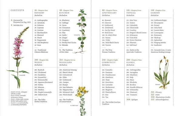 Produktbild: Die ganze Welt der Heilpflanzen