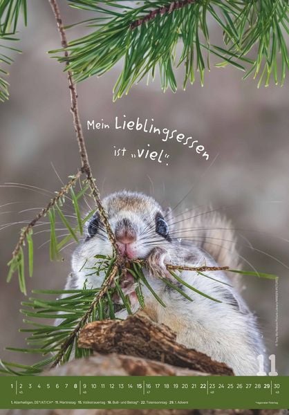 Produktbild: Tierisch cool! 2026 - Bild-Kalender 23,7x34 cm - mit lustigen Sprüchen - Humor - Wandkalender - mit Platz für Notizen - Alpha Edition