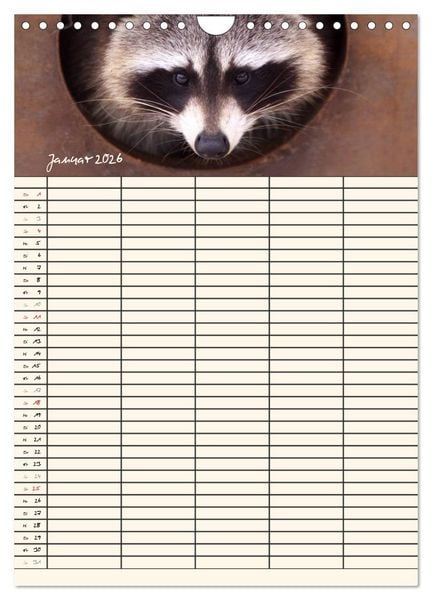 Produktbild: Waschb&auml;ren Familienplaner (Wandkalender 2026 DIN A4 hoch), CALVENDO Monatskalender