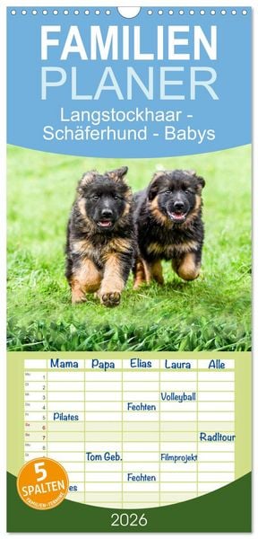 Familienplaner 2026 - Langstockhaar - Schäferhund - Babys mit 5 Spalten (Wandkalender, 21 x 45 cm) CALVENDO