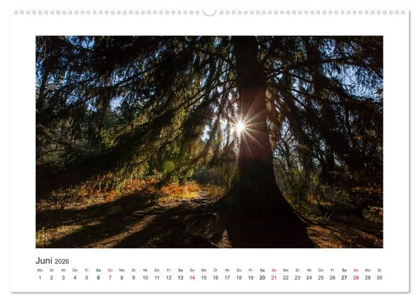 Produktbild: Kasseler Landschaften (Wandkalender 2026 DIN A2 quer), CALVENDO Monatskalender