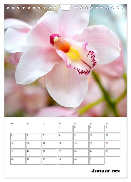 Produktbild: Orchideen - Tropische Sch&ouml;nheiten (Wandkalender 2026 DIN A4 hoch), CALVENDO Monatskalender