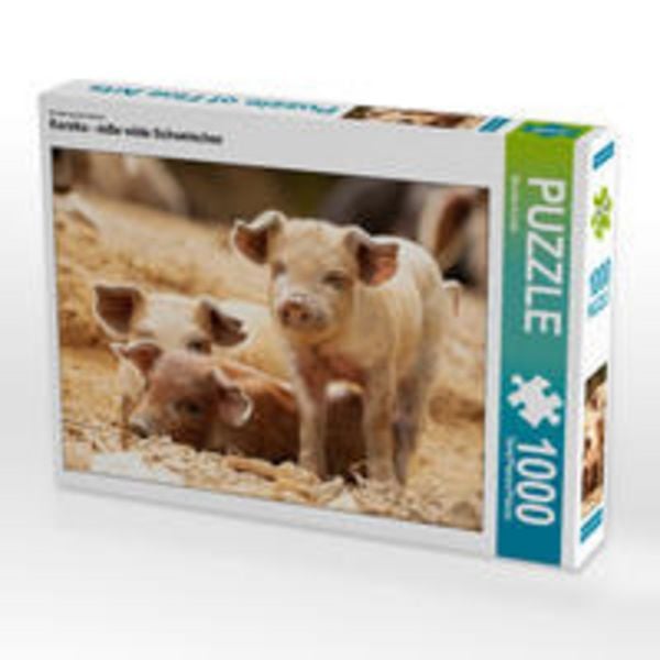 CALVENDO Puzzle Ein Motiv aus dem Kalender Korsika - süße wilde Schweinchen | 1000 Teile Lege-Größe 64x48cm Foto-Puzzle für glückliche Stunden