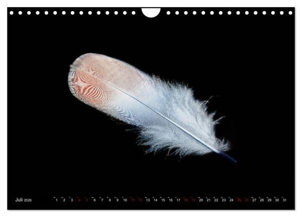 Produktbild: Federleichte Momente (Wandkalender 2026 DIN A4 quer), CALVENDO Monatskalender