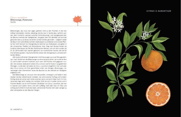 Produktbild: Arboretum. 70 B&auml;ume - 70 St&auml;dte