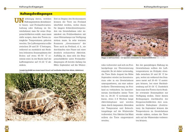 Produktbild: Die Steppenschildkr&ouml;te