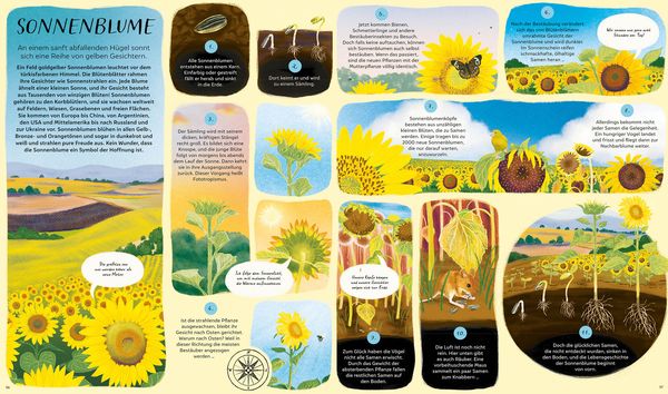 Produktbild: Der Lauf der Natur