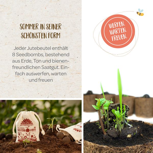 Samenbomben 8er Jutebeutel Bienenschmaus