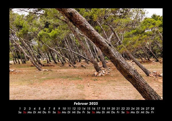 Produktbild: Waldzauber 2025 Fotokalender DIN A3