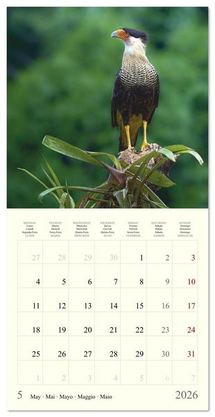 Produktbild: Royaume de nature Costa Rica (Calendrier mural carr&eacute; 2026 30x30 cm) Calendrier double avec une page pour vos prises de notes