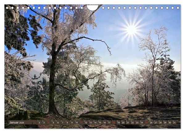 Produktbild: Die Sch&ouml;nheit der S&auml;chsischen Schweiz (Wandkalender 2026 DIN A4 quer), CALVENDO Monatskalender