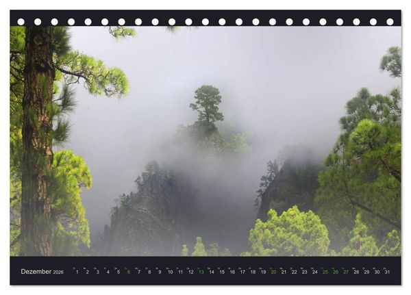 Produktbild: wildes La Palma (Tischkalender 2026 DIN A5 quer), CALVENDO Monatskalender