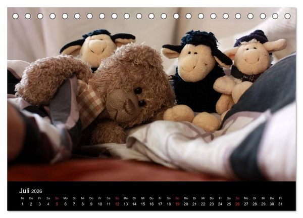 Produktbild: Herr Nopf ist da! (Tischkalender 2026 DIN A5 quer), CALVENDO Monatskalender