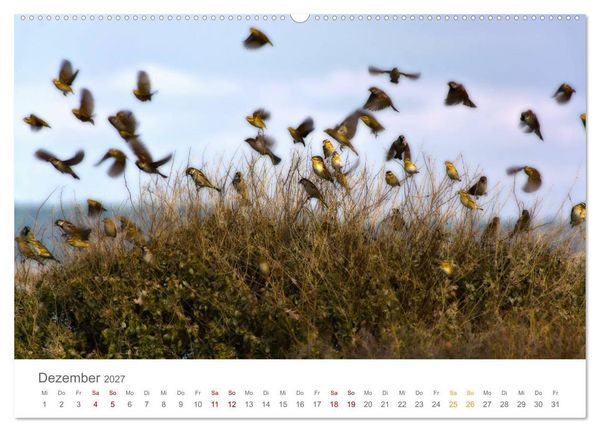 Produktbild: Alentejo Portugal - K&uuml;stenimpressionen (Wandkalender 2027 DIN A2 quer), CALVENDO Monatskalender