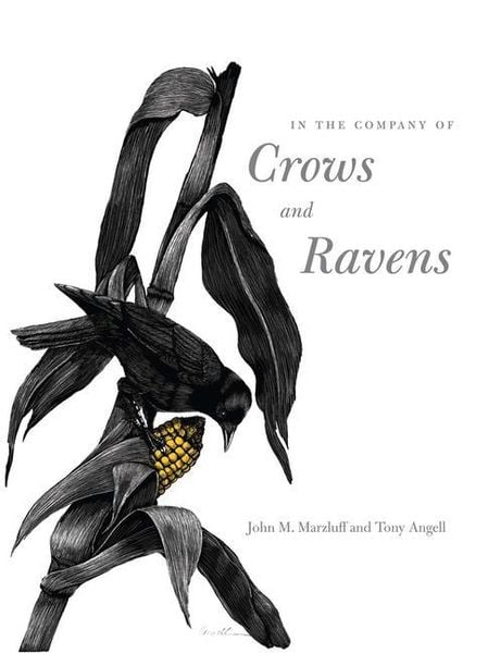 Produktbild: In the Company of Crows and Ravens