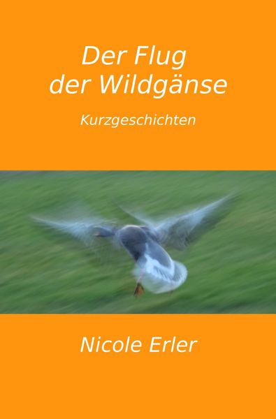 Produktbild: Der Flug der Wildg&auml;nse