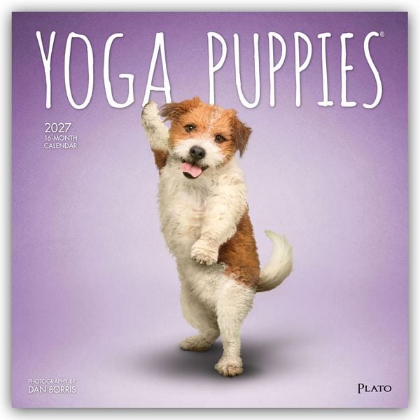 Produktbild: Yoga Puppies &ndash; Welpen Yoga 2027 &ndash; 16-Monatskalender