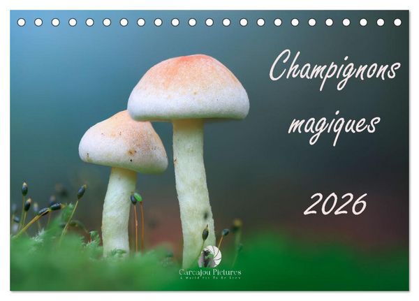 Champignons magiques (Calendrier de bureau 2026 DIN A5 vertical), CALVENDO calendrier mensuel