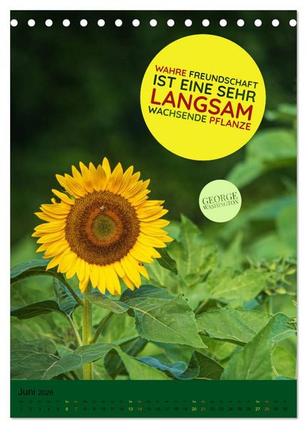Produktbild: Freundschaft Weisheiten und Zitate (Tischkalender 2026 DIN A5 hoch), CALVENDO Monatskalender