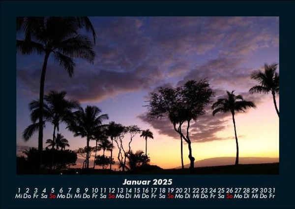 Produktbild: Palmentraum 2025 Fotokalender DIN A5