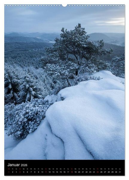 Produktbild: NATURWUNDER PF&Auml;LZERWALD (Wandkalender 2026 DIN A2 hoch), CALVENDO Monatskalender