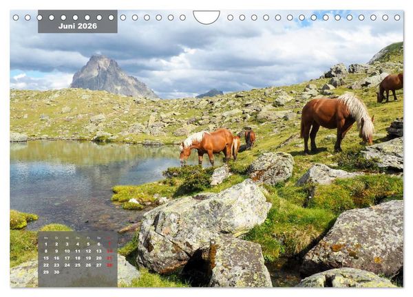 Produktbild: Die wilden Pyren&auml;en (Wandkalender 2026 DIN A4 quer), CALVENDO Monatskalender