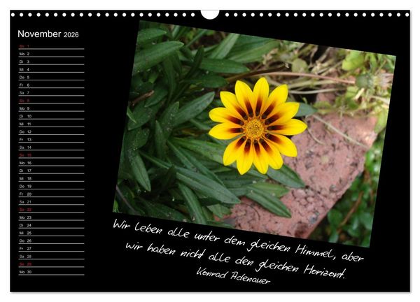 Produktbild: Gelbe Lebensfreude (Wandkalender 2026 DIN A3 quer), CALVENDO Monatskalender