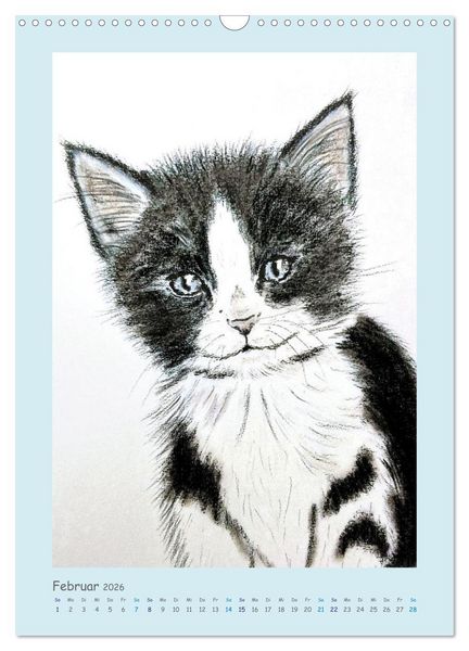 Produktbild: PortraiTierART Samtpf&ouml;tchen (Wandkalender 2026 DIN A3 hoch), CALVENDO Monatskalender
