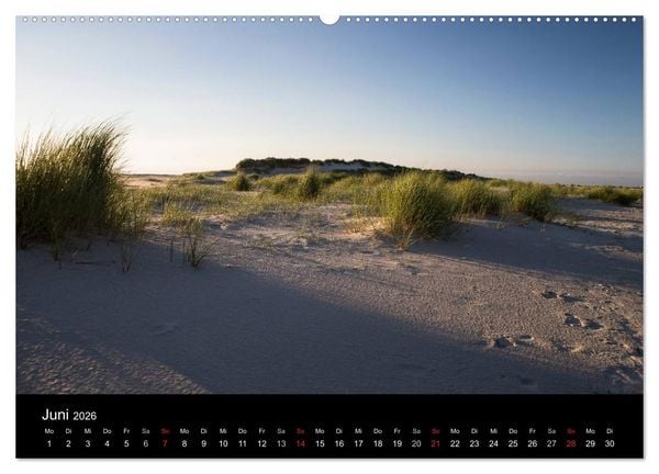 Produktbild: Amrumer Impressionen (Wandkalender 2026 DIN A2 quer), CALVENDO Monatskalender