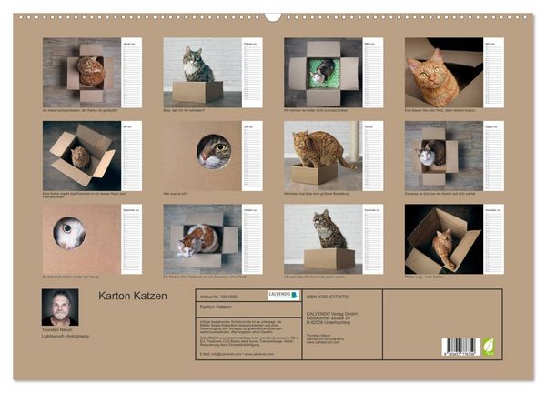 Produktbild: Karton Katzen (Wandkalender 2026 DIN A2 quer), CALVENDO Monatskalender