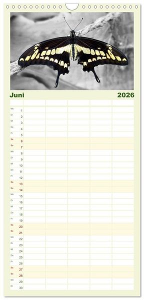 Produktbild: Familienplaner 2026 - Gefl&uuml;gelte Sch&ouml;nheiten der Tropen mit 5 Spalten (Wandkalender, 21 x 45 cm) CALVENDO