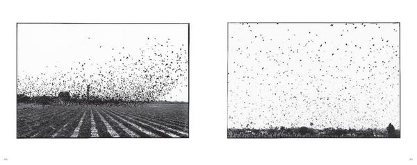 Produktbild: Zoe Leonard