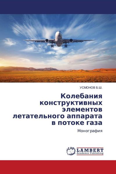 Produktbild: Kolebaniq konstruktiwnyh &auml;lementow letatel'nogo apparata w potoke gaza