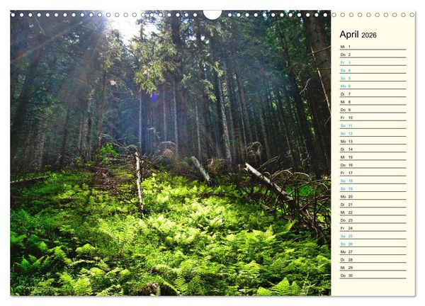 Produktbild: Slowakei - Abseits der Hohen Tatra (Wandkalender 2026 DIN A3 quer), CALVENDO Monatskalender