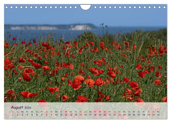 Produktbild: R&uuml;genliebe (Wandkalender 2026 DIN A4 quer), CALVENDO Monatskalender
