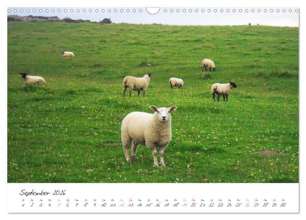Produktbild: M&auml;rchenhaftes Irland (Wandkalender 2026 DIN A3 quer), CALVENDO Monatskalender