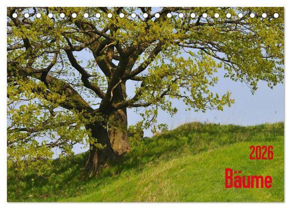 Produktbild: B&auml;ume (Tischkalender 2026 DIN A5 quer), CALVENDO Monatskalender