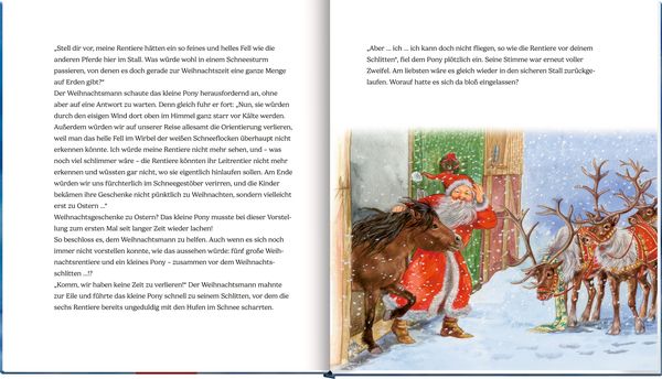 Produktbild: Das Weihnachtspony