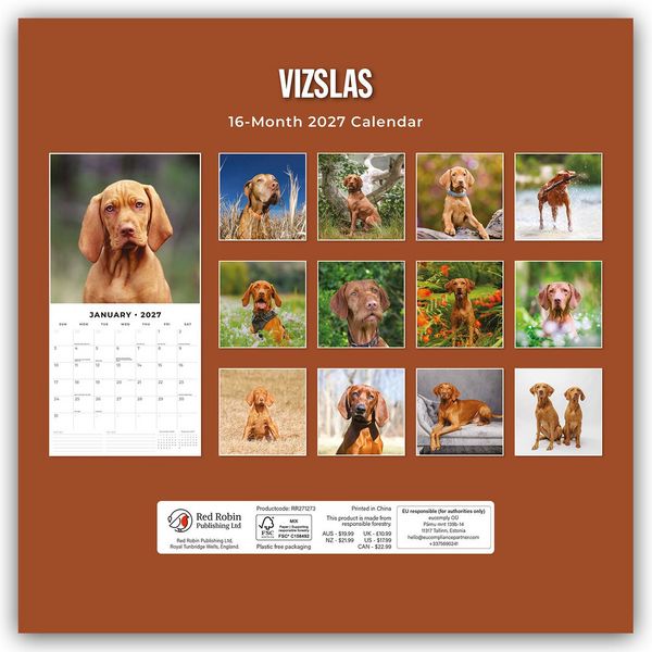 Produktbild: Vizslas &ndash; Magyar Vizsla &ndash; Kurzhaariger Ungarischer Vorstehhund 2027 &ndash; 16-Monatskalender