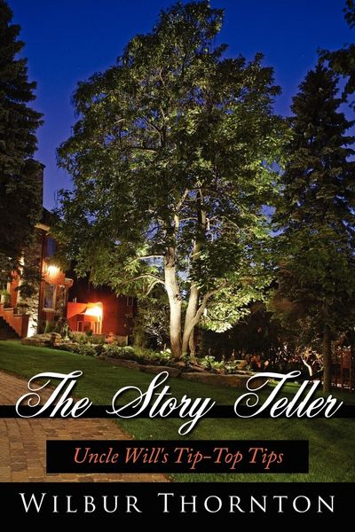Produktbild: The Story Teller