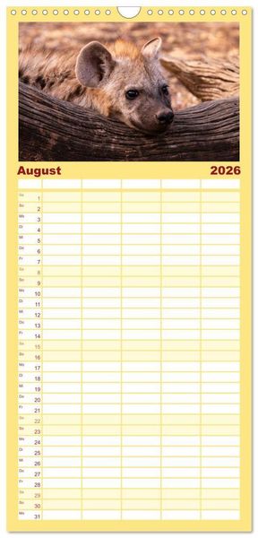 Produktbild: Familienplaner 2026 - Komm mit auf Safari! Botswana und S&uuml;dafrika mit 5 Spalten (Wandkalender, 21 x 45 cm) CALVENDO