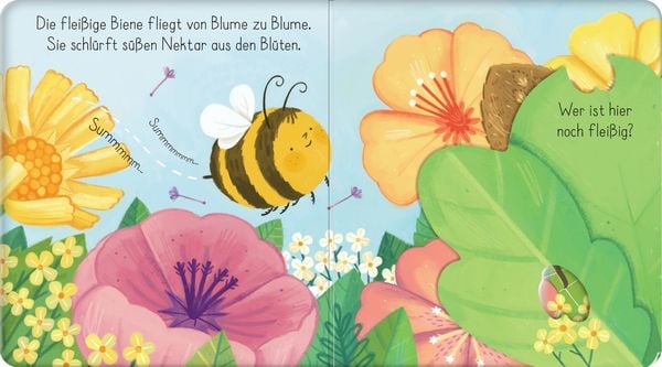 Produktbild: Mein erstes Entdecker-Klappenbuch: Kleine Biene im Garten