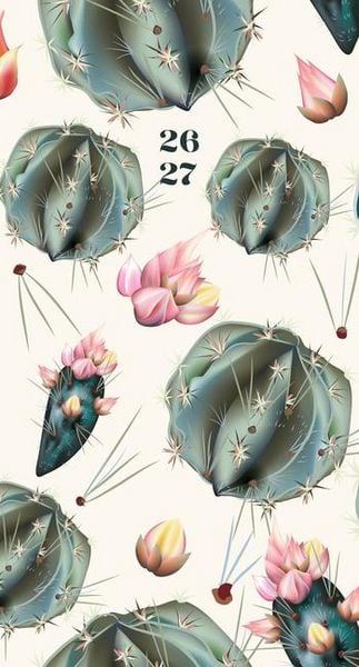 Produktbild: Cactus Deco 2-Year 2026-27 3.5 X 6.5 Monthly Pocket Planner