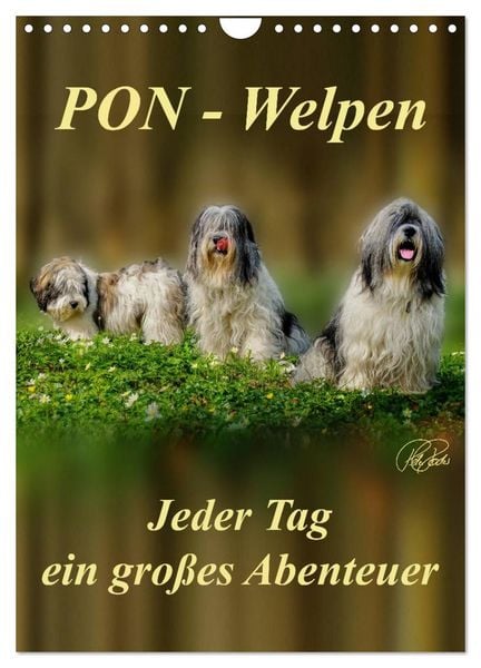 Produktbild: PON-Welpen - jeder Tag ein gro&szlig;es Abenteuer / Planer (Wandkalender 2026 DIN A4 hoch), CALVENDO Monatskalender