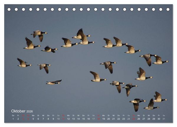 Produktbild: Anblicke und Ausblicke auf Fischland Dar&szlig; (Tischkalender 2026 DIN A5 quer), CALVENDO Monatskalender