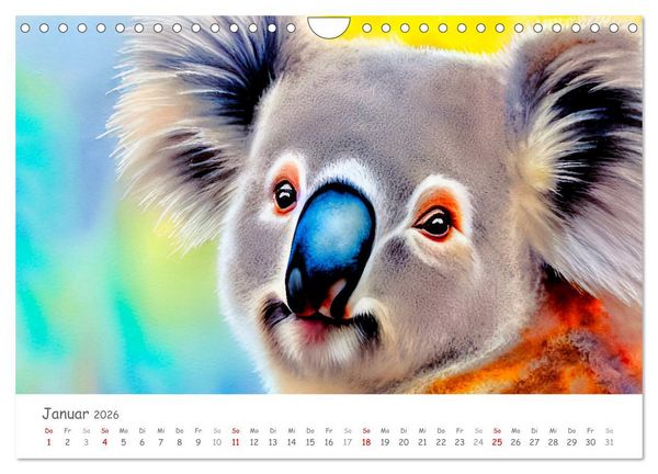 Produktbild: Der Koala 2026. Aschgrauer Beutelb&auml;r (Wandkalender 2026 DIN A4 quer), CALVENDO Monatskalender