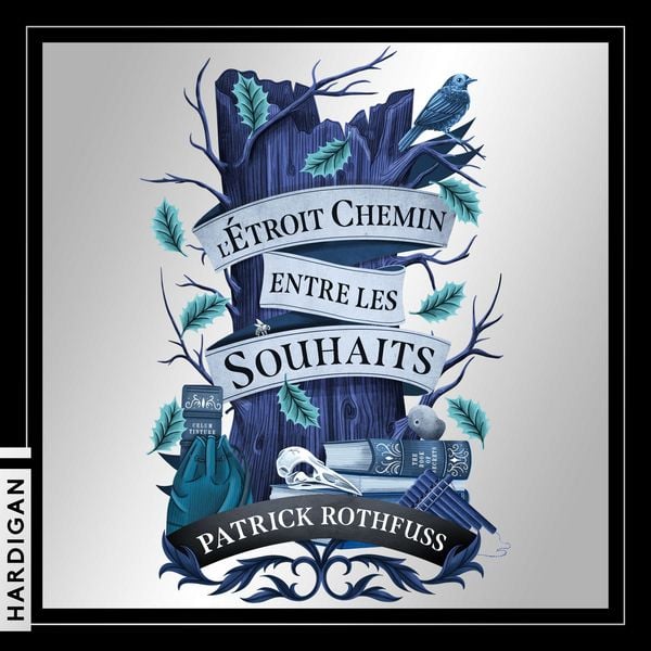L'étroit chemin entre les souhaits - Patrick Rothfuss, Audio, 9782374346144